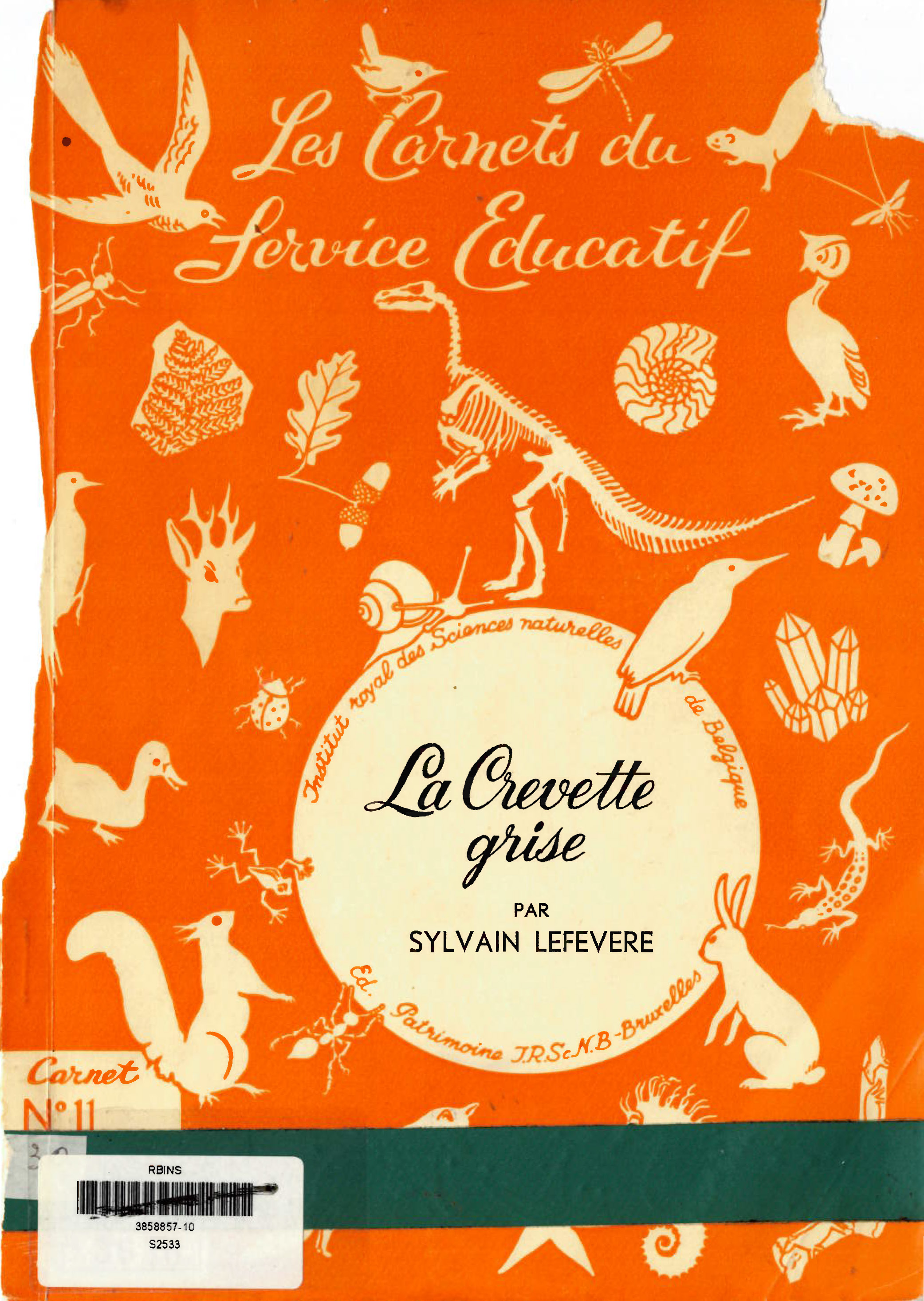 Voorpag les-carnets-du-service-educatif-carnet-ndeg11-la-crevette-grise-sylvain-lefevere-1965-s2533.jpg