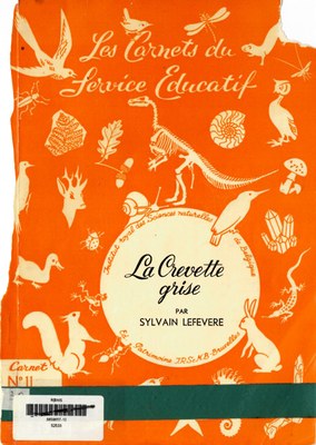 Voorpag les-carnets-du-service-educatif-carnet-ndeg11-la-crevette-grise-sylvain-lefevere-1965-s2533.jpg