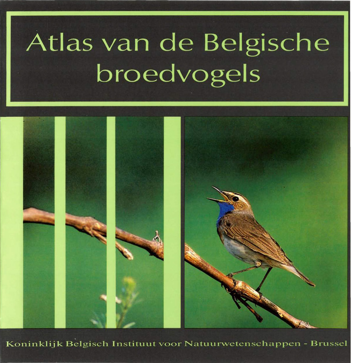 Voorpag Atlas van de Belgische broedvogels 1988.jpg