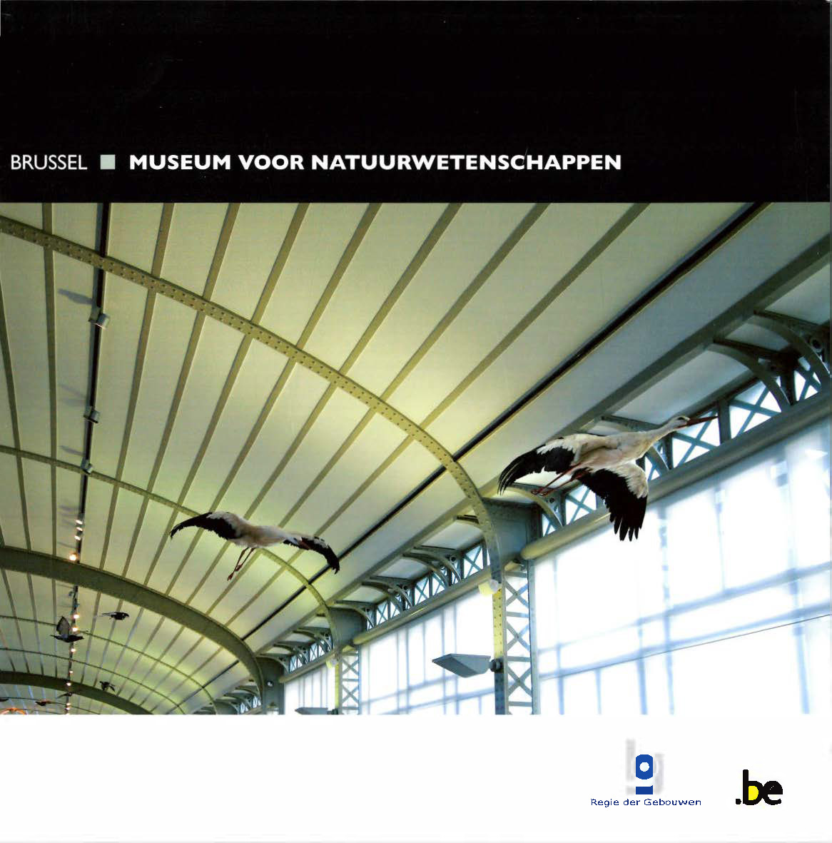 Voorpag Brussel Museum voor Natuurwetenschappen 2009.jpg