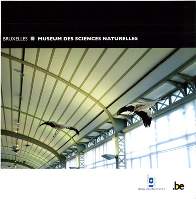 Voorpag Bruxelles Museum des sciences naturelles 2009.jpg