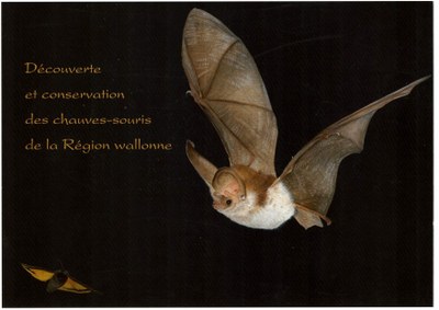 Voorpag Découverte et Conservation des chauves-souris de la Région wallonne 1996.jpg
