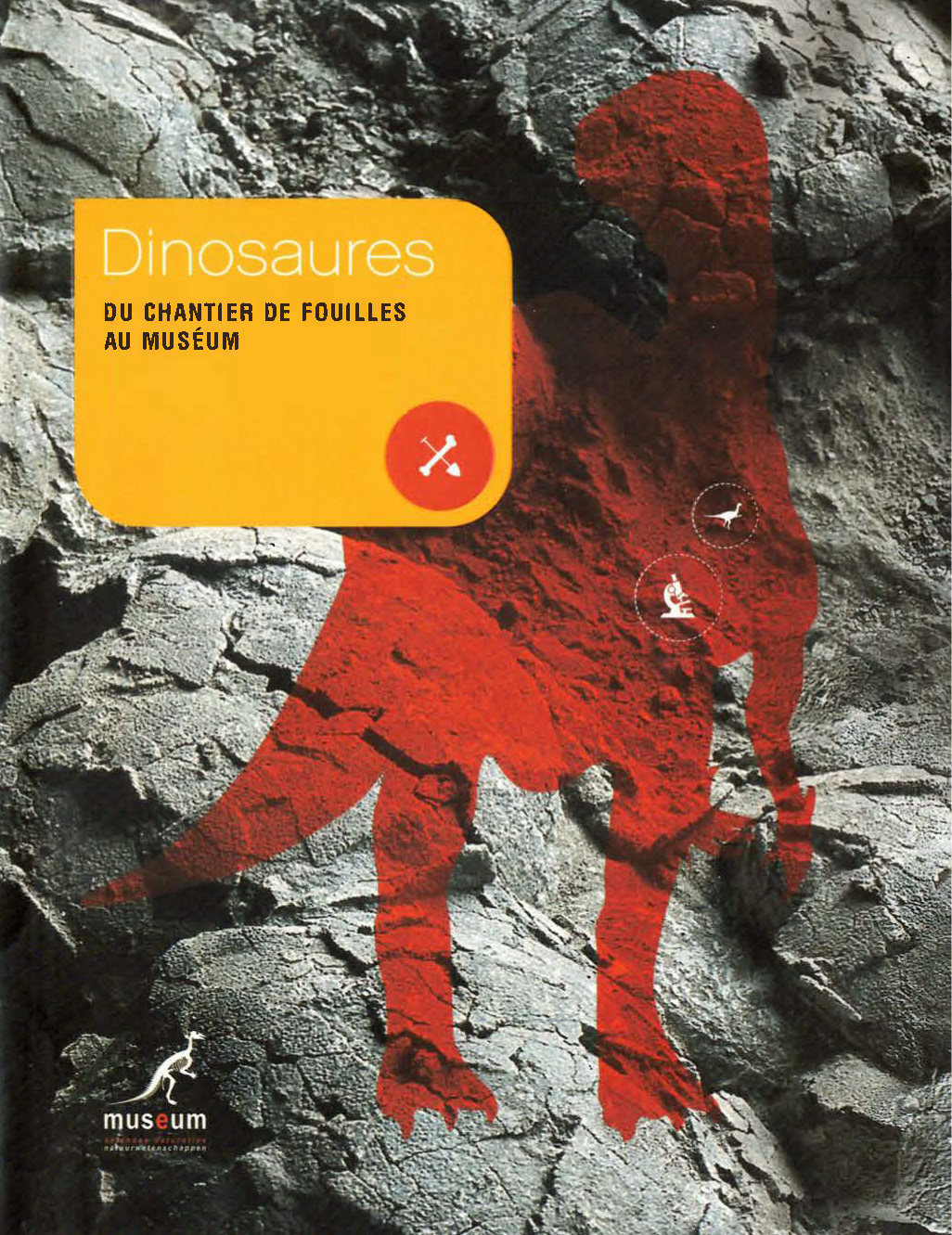 Voorpag Dinosaures du chantier de fouilles au muséum 2002.jpg