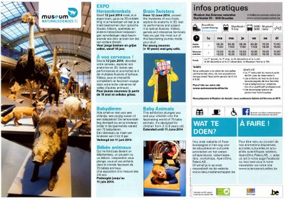 Voorpag Folder museum Expo Hersenkronkels - Babydieren - De Mosasauriërs 2014.jpg