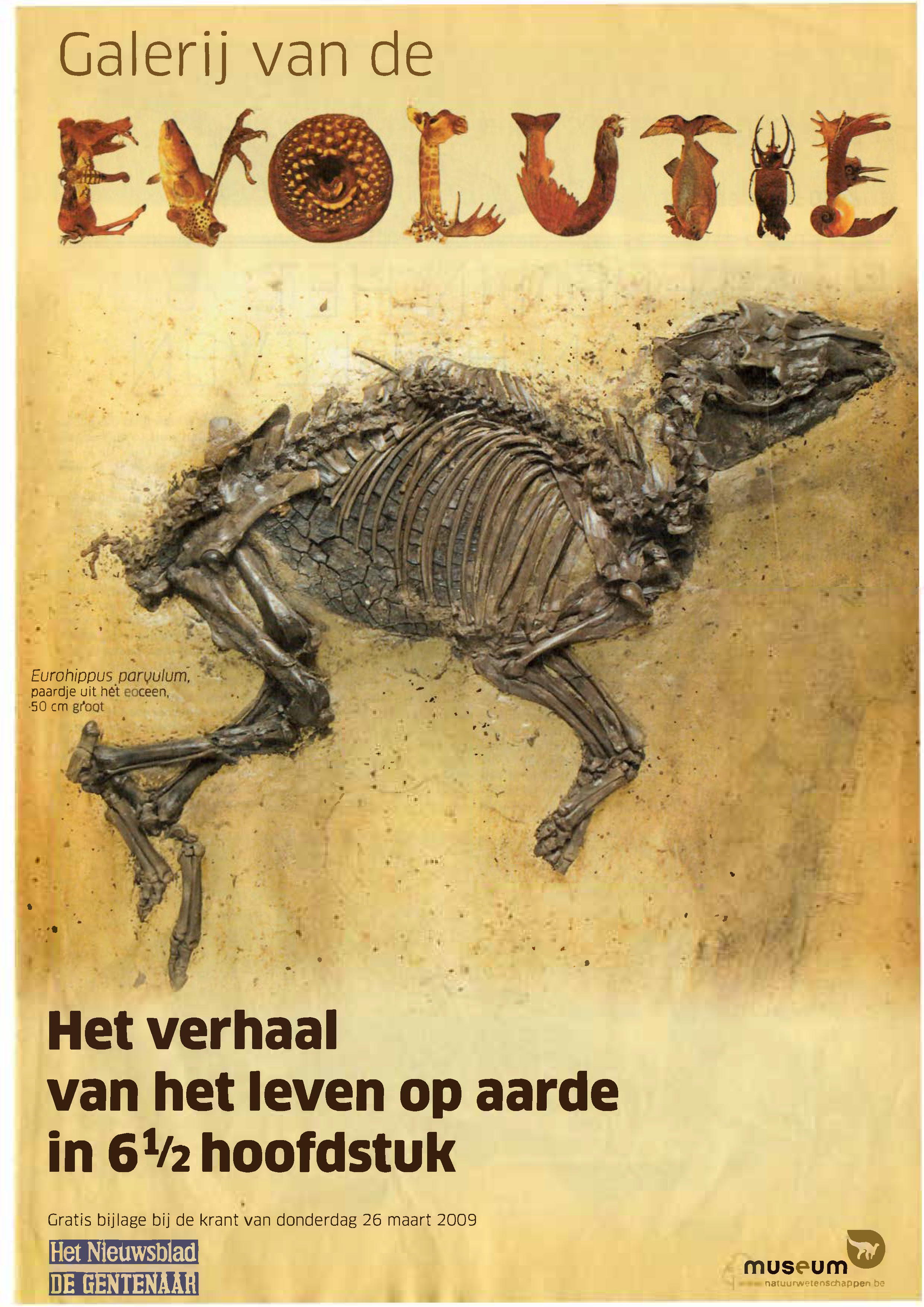 Voorpag Galerij van de evolutie - Het verhaal van het leven op aarde in 6 halve hoofdstuk 2009.jpg