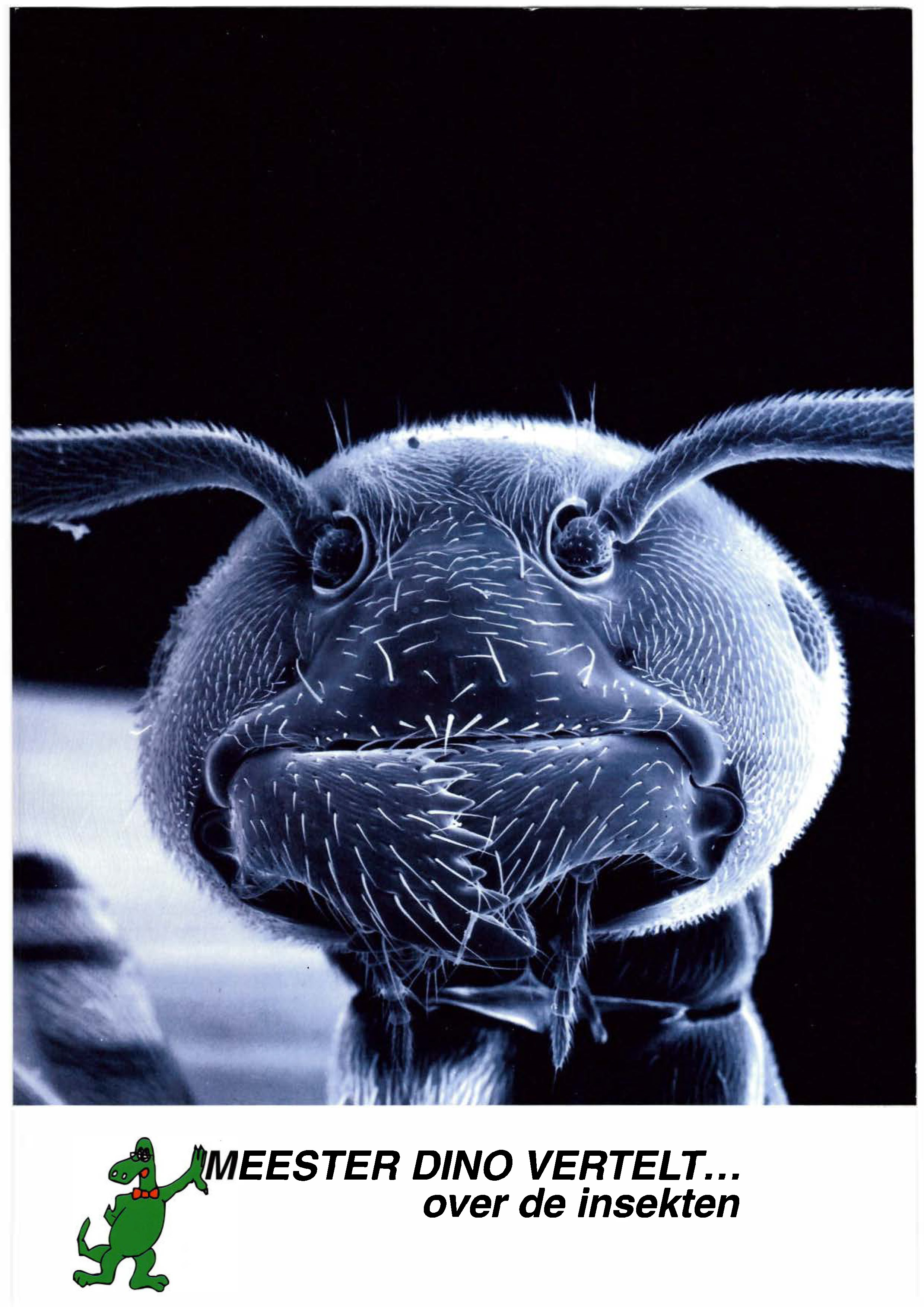 Voorpag Meester dino vertelt... over de insekten 1994.jpg