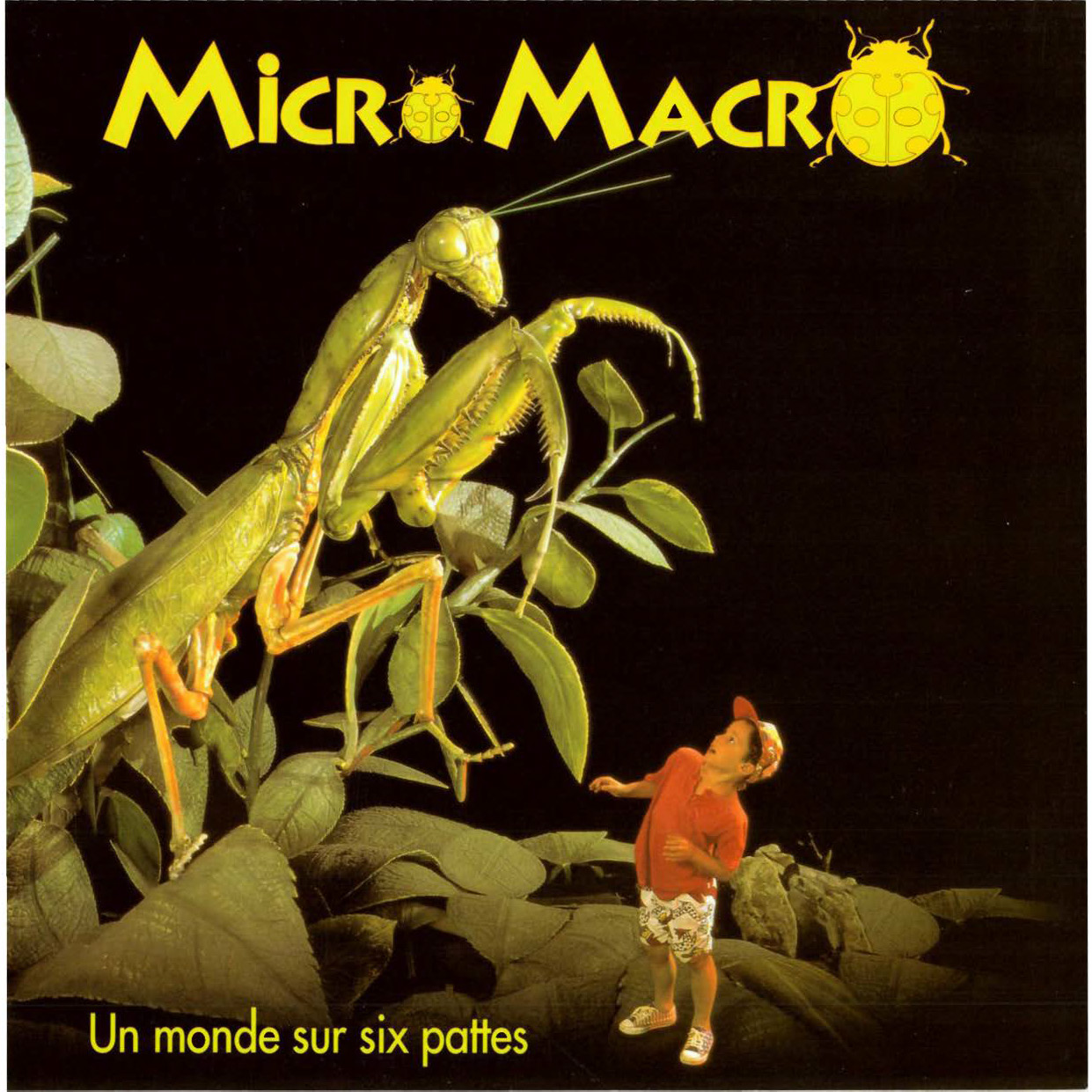 Voorpag Micro Macro Un monde sur six pattes 1994.jpg