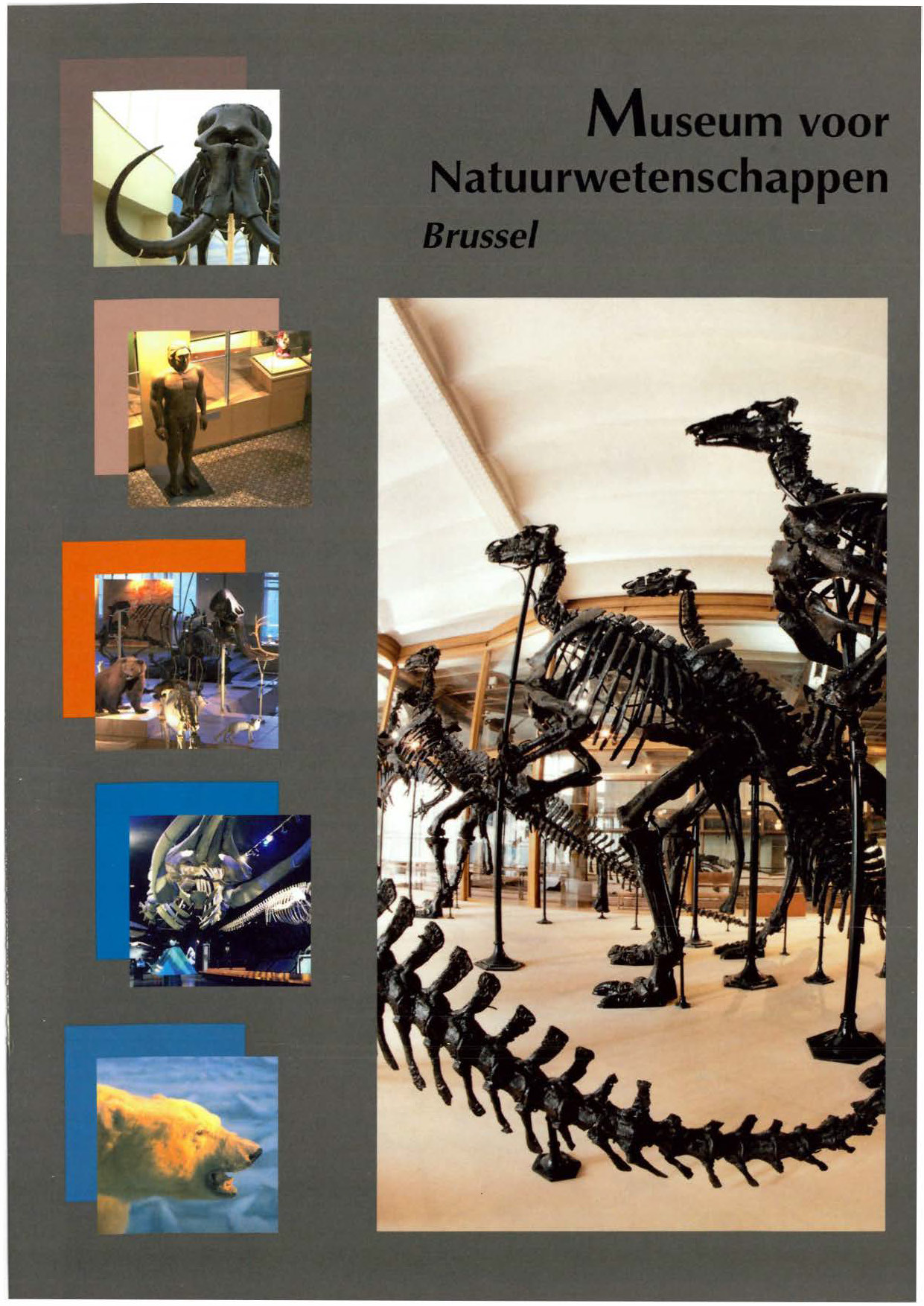 Voorpag Museum voor Natuurwetenschappen Brussel 1999.jpg