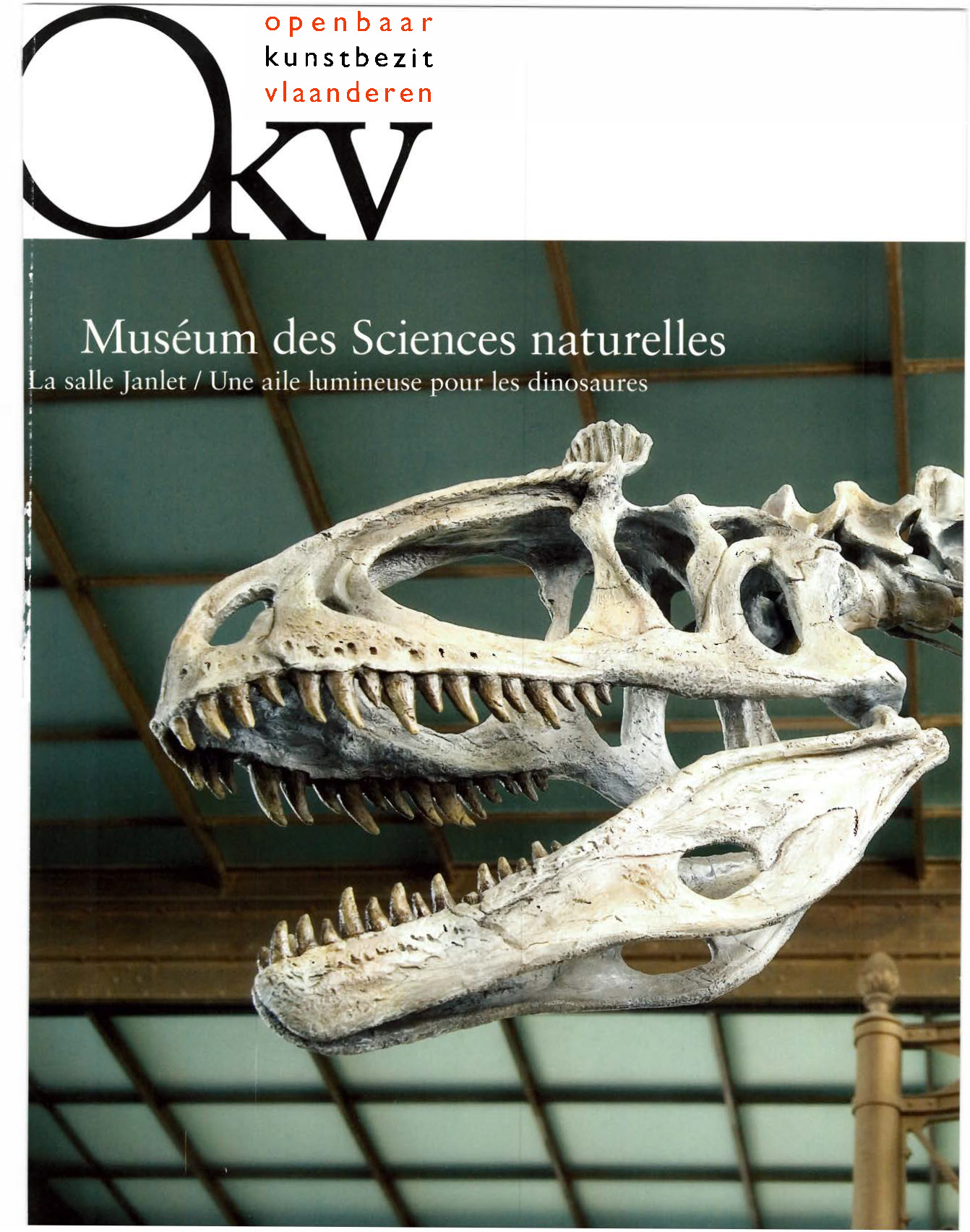 Voorpag OKV Muséum des Sciences naturelles La salle Janlet - Une aile lumineuse pour les dinosaures 2007.jpg