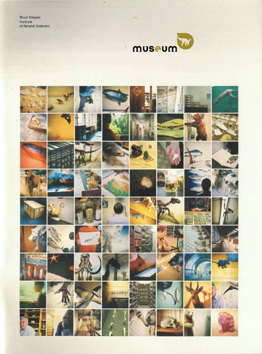 Voorpag Royal Belgian Institute of Natural Sciences Museum 2003.jpg