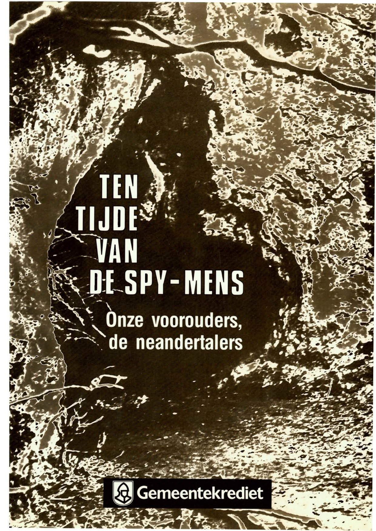 Voorpag Ten tijde van de Spy-mens Onze voorouders de neandertalers André Leguebe en Daniel Cahen 1986.jpg