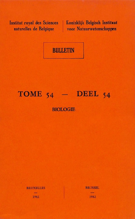 54.jpg
