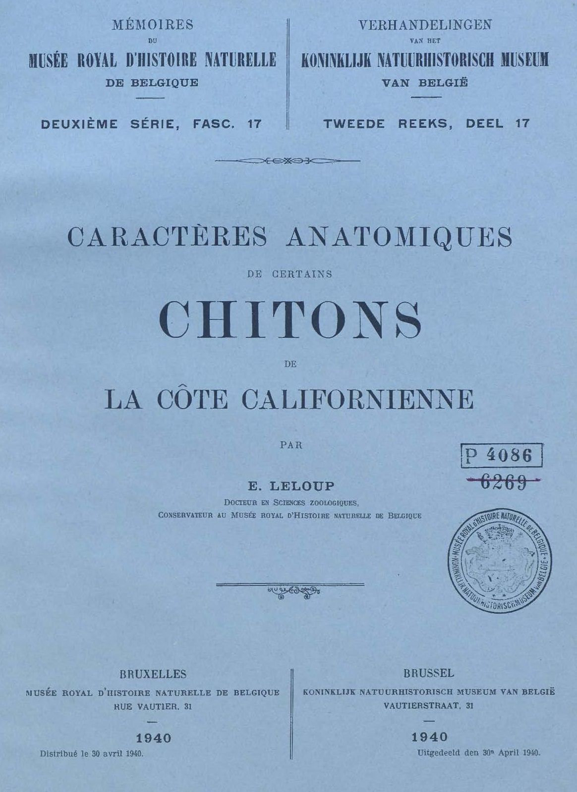 cover-17.jpg