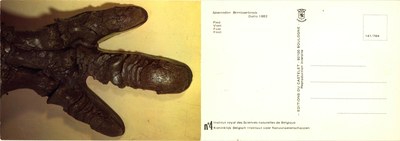 004 Iguanodon Bernissartensis Dollo 1882 Pied-Voet.jpg