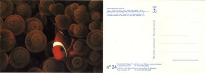 024 Premnas biaculeatus (Bloch).jpg