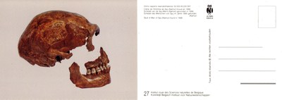 027 Homo sapiens neanderthalensis 50000-40000 BP Spy.jpg