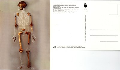 028 Homo sapiens neanderthalensis 50000-40000 BP Spy.jpg