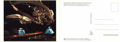 043 Walvissenzaal editie-mirages .jpg