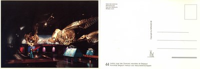 044 Walvissenzaal editie-mirages .jpg