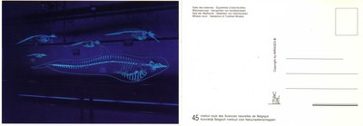 045 Walvissenzaal editie-mirages .jpg