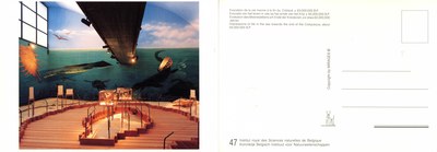 047 Evocation de la vie marine à la fin du Crétacè +- 65.000.000 BP editie-mirages .jpg