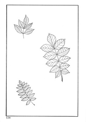 Nos Arbres - Onze Bomen Serie I-24.jpg