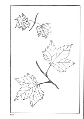 Nos Arbres - Onze Bomen Serie I-25.jpg