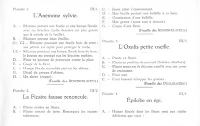 Fleurs de nos bois - Bloemen van onze bossen Serie III-01-04 fr.jpg