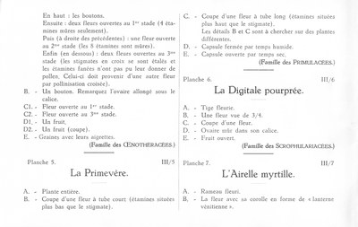 Fleurs de nos bois - Bloemen van onze bossen Serie III-04-07 fr.jpg