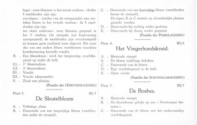 Fleurs de nos bois - Bloemen van onze bossen Serie III-04-07 nl.jpg