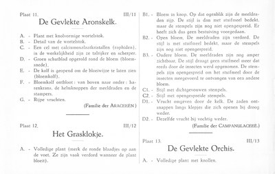 Fleurs de nos bois - Bloemen van onze bossen Serie III-11-13 nl.jpg