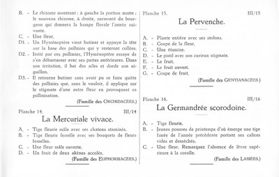 Fleurs de nos bois - Bloemen van onze bossen Serie III-13-16 rf.jpg