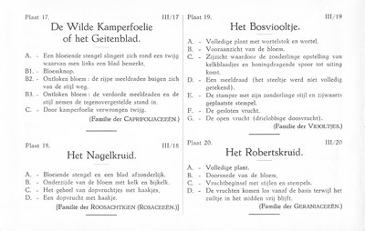 Fleurs de nos bois - Bloemen van onze bossen Serie III-17-20 nl.jpg