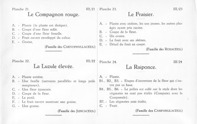 Fleurs de nos bois - Bloemen van onze bossen Serie III-21-24 fr.jpg