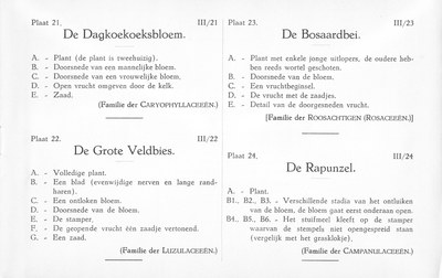 Fleurs de nos bois - Bloemen van onze bossen Serie III-21-24 nl.jpg