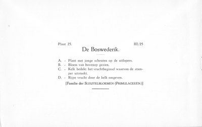 Fleurs de nos bois - Bloemen van onze bossen Serie III-25 nl.jpg