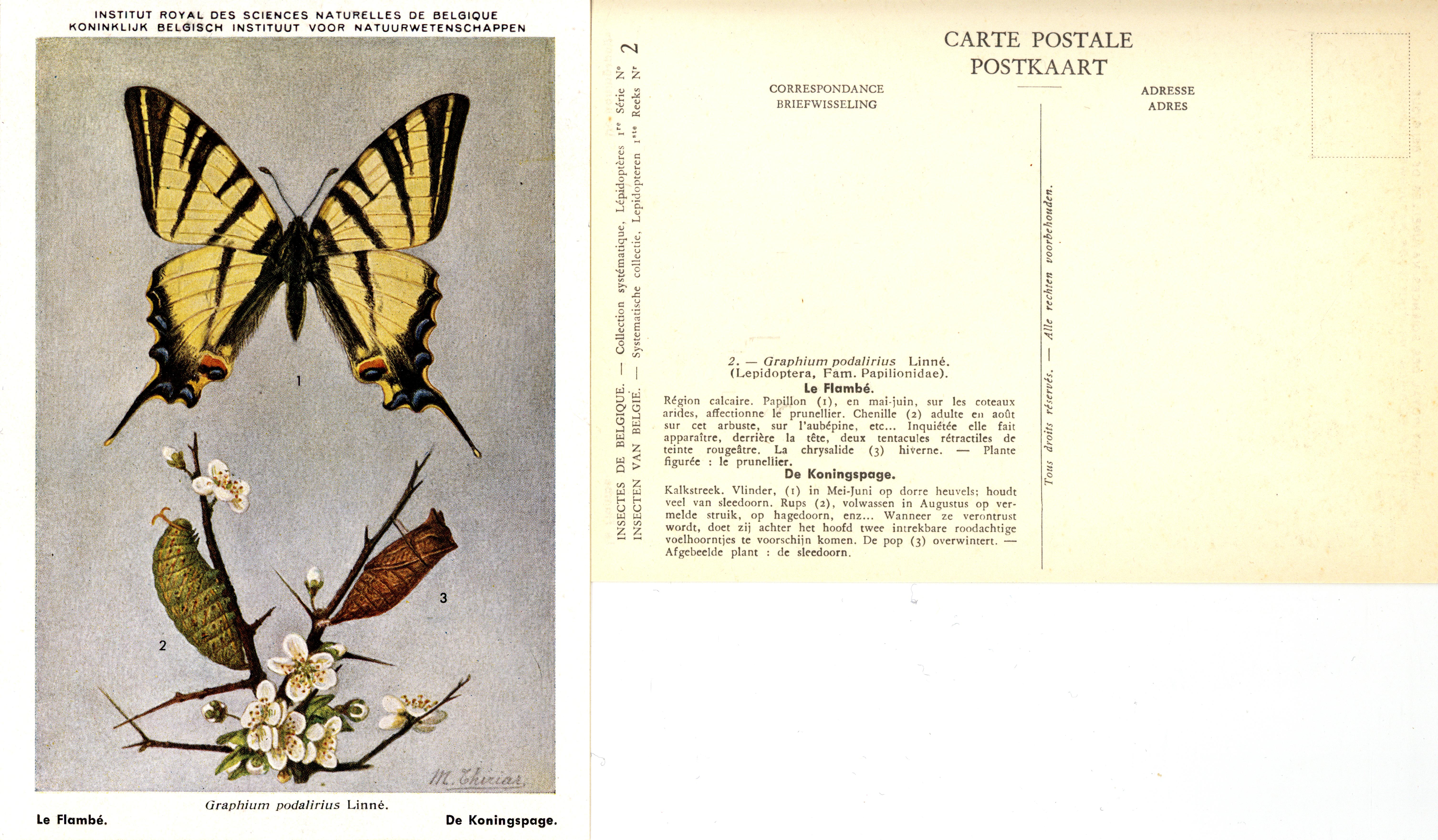 02 Le Flambé - De Koningspage.jpg