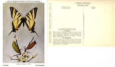 02 Le Flambé - De Koningspage.jpg