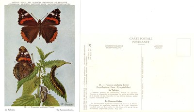 21 Le Vulcain - De Nummervlinder.jpg