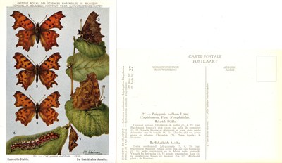 27 Robert-le-Diable - De Gehakkelde Aurelia.jpg