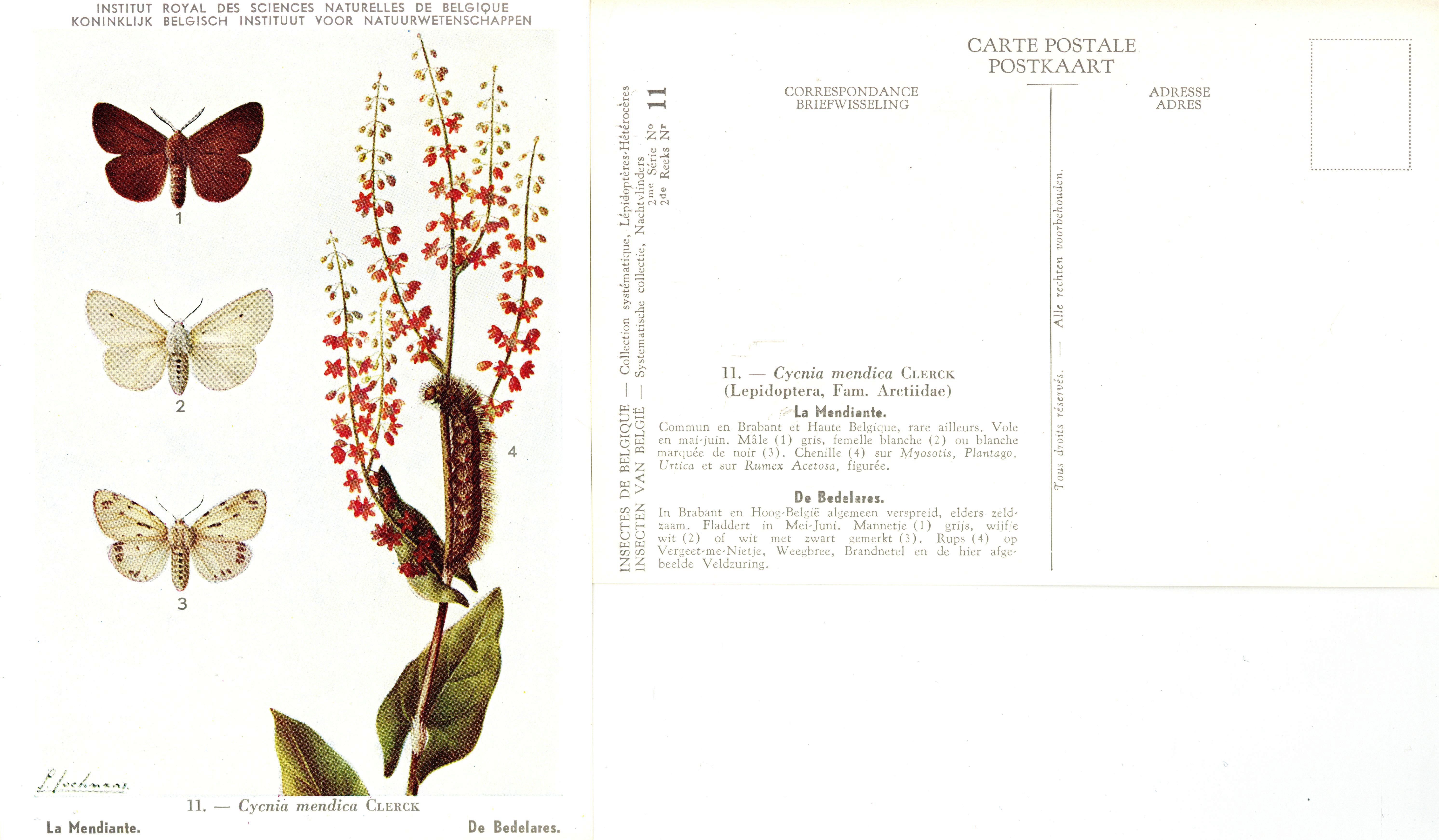 11 La Mendiante - De Bedelares.jpg