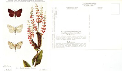 11 La Mendiante - De Bedelares.jpg