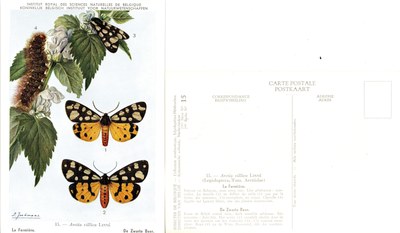 15 La Fermière - De Zwarte Beer.jpg