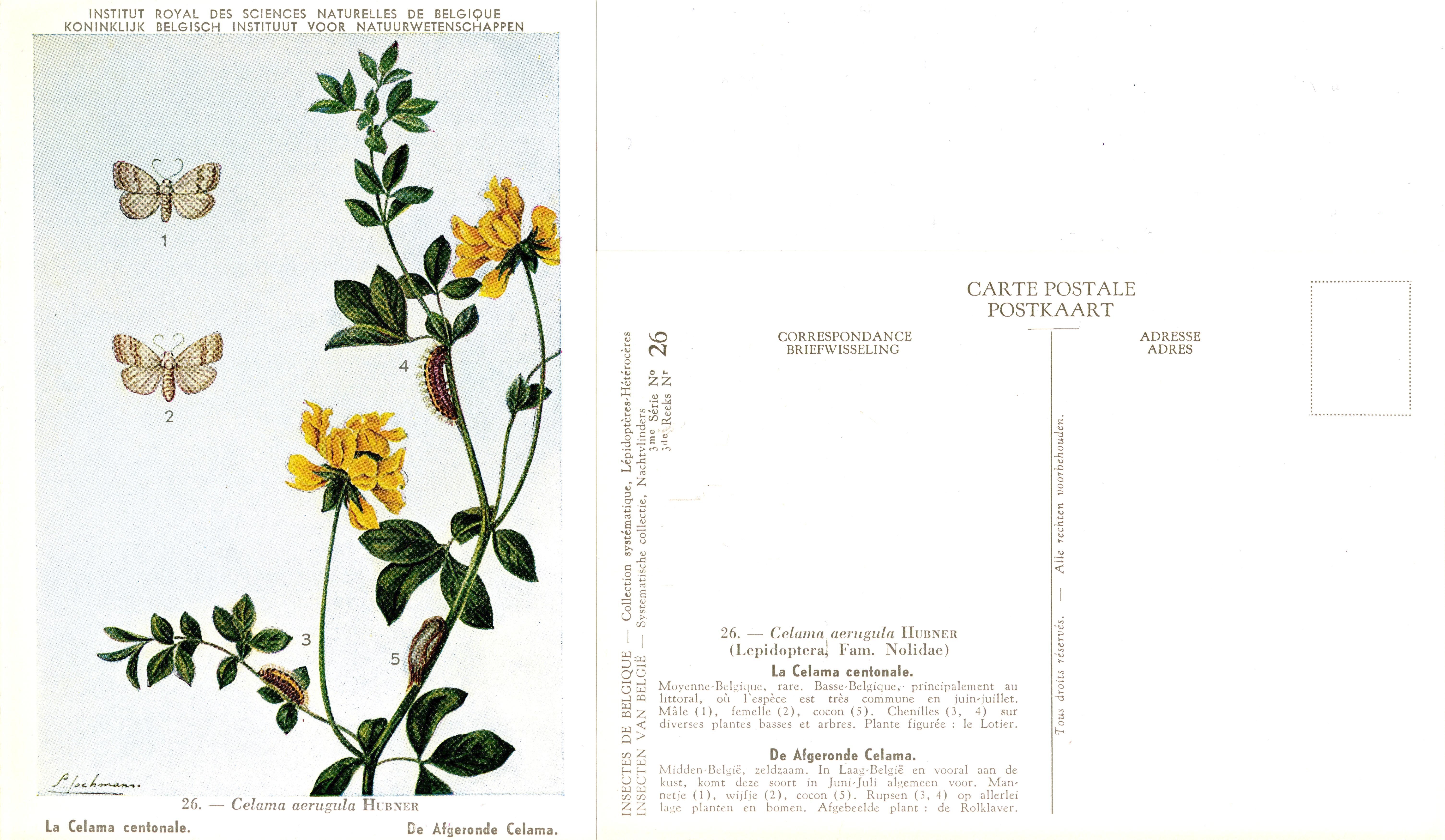 26 La Celama centonale - De Afgeronde Celama.jpg