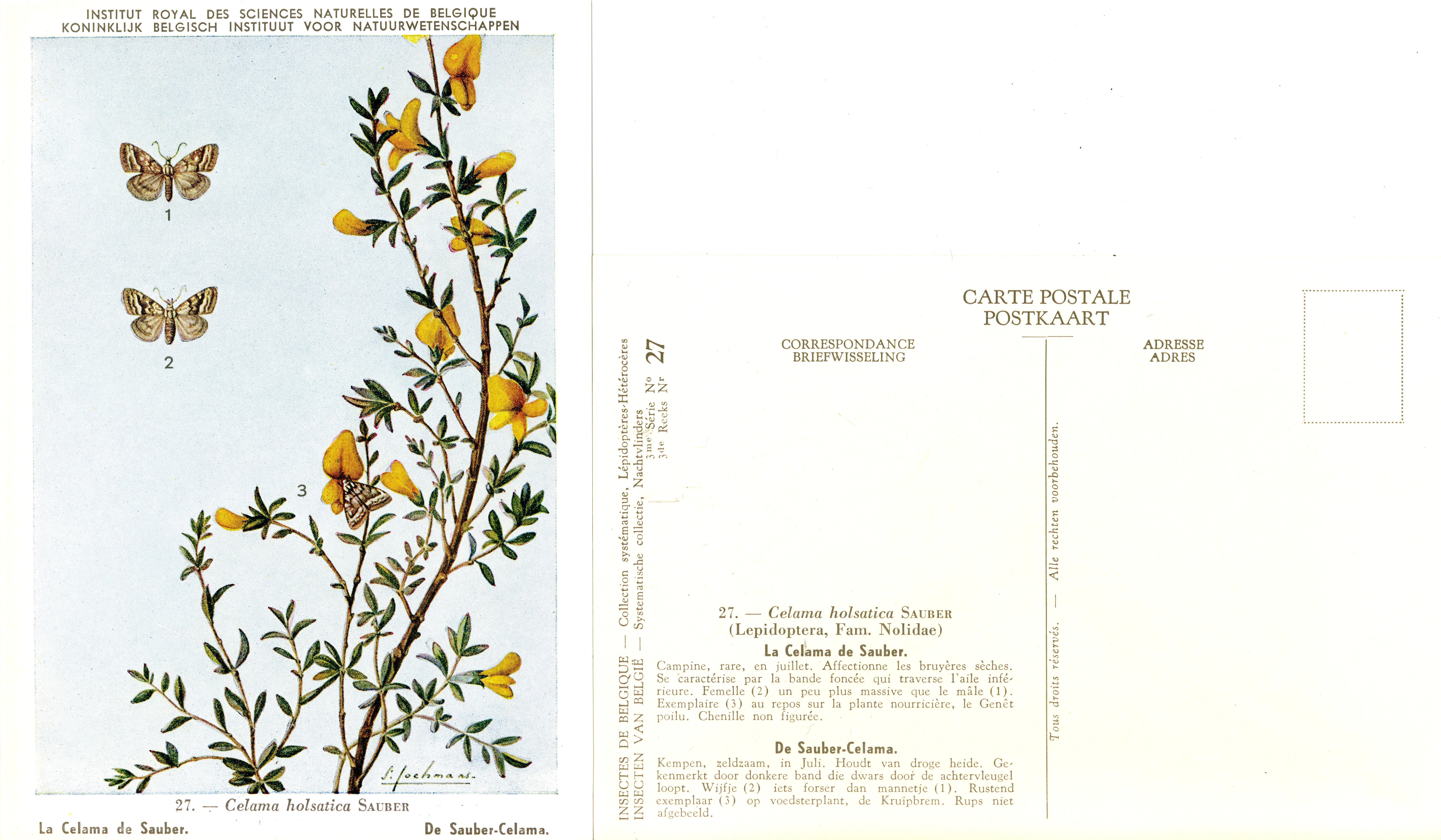 27 La Celama de Sauber - De Sauber-Celama.jpg