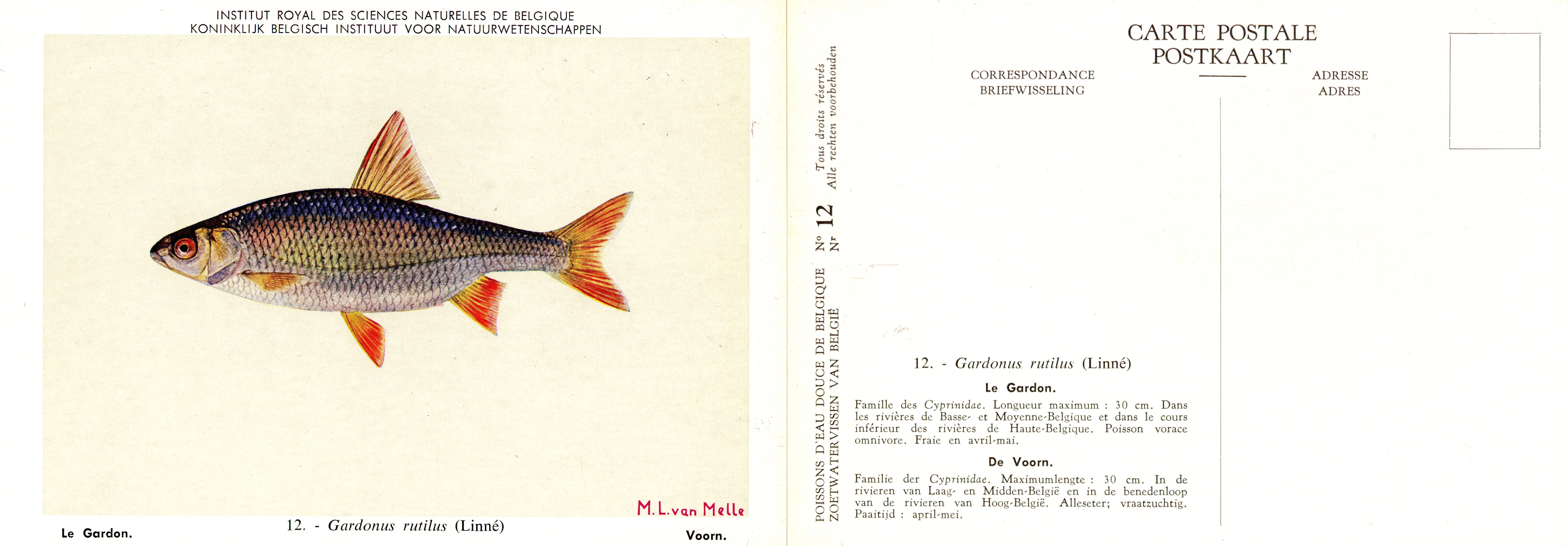 012 Le Gordon - De Voorn.jpg