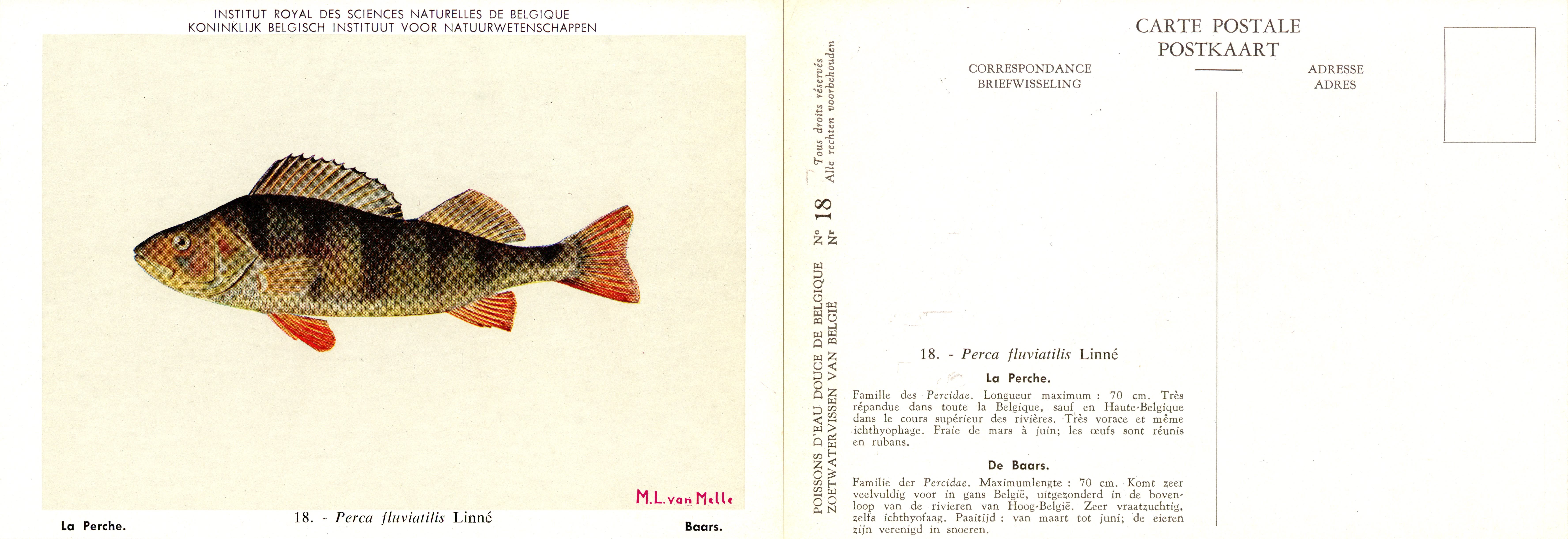 018 La Perche - De Baars.jpg