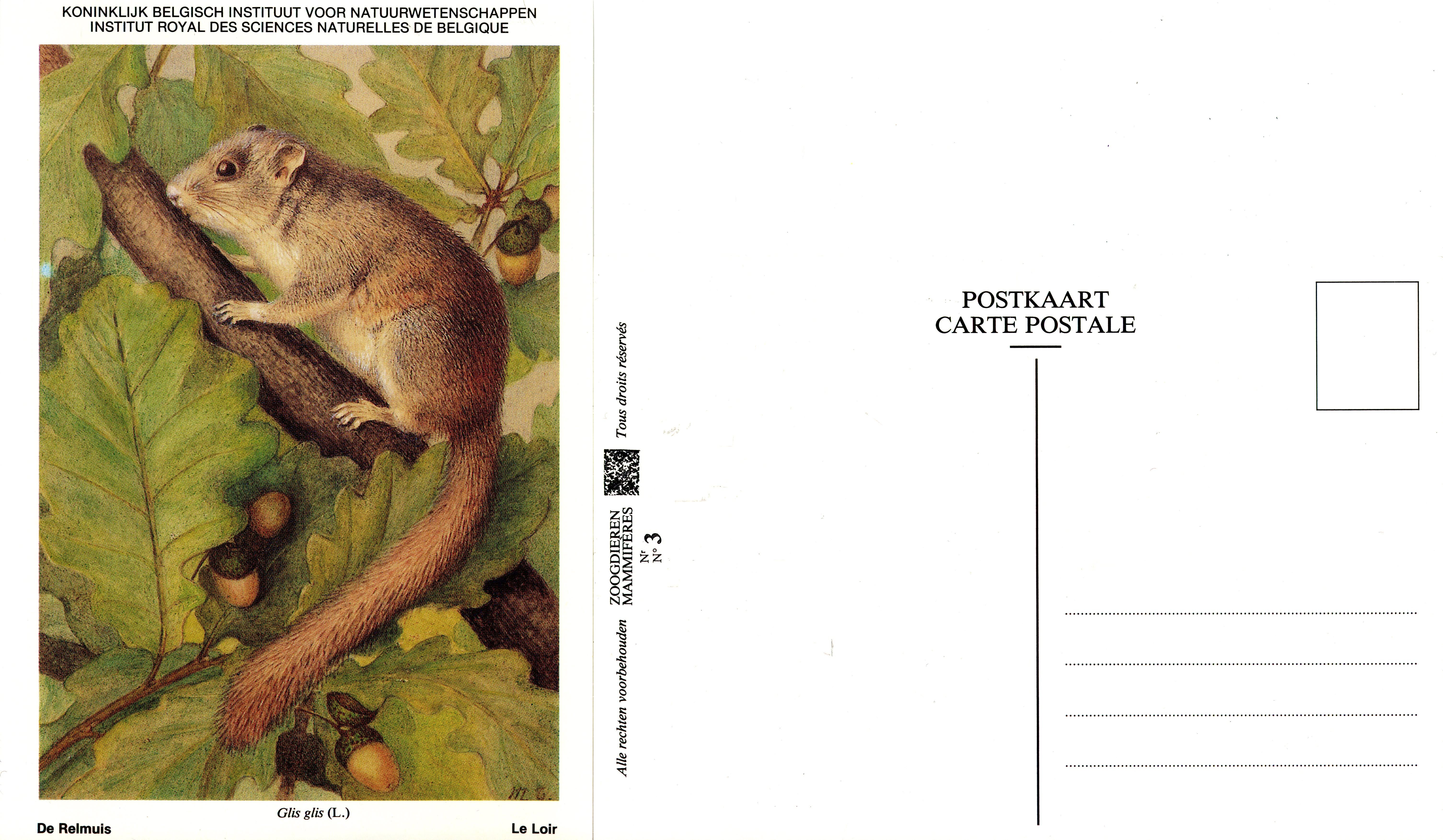 003 Le Loir - De Reimuis.jpg