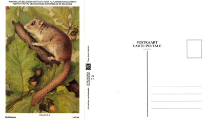 003 Le Loir - De Reimuis.jpg