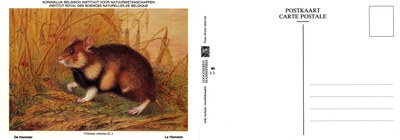 008 Le Hamster - De Hamster.jpg